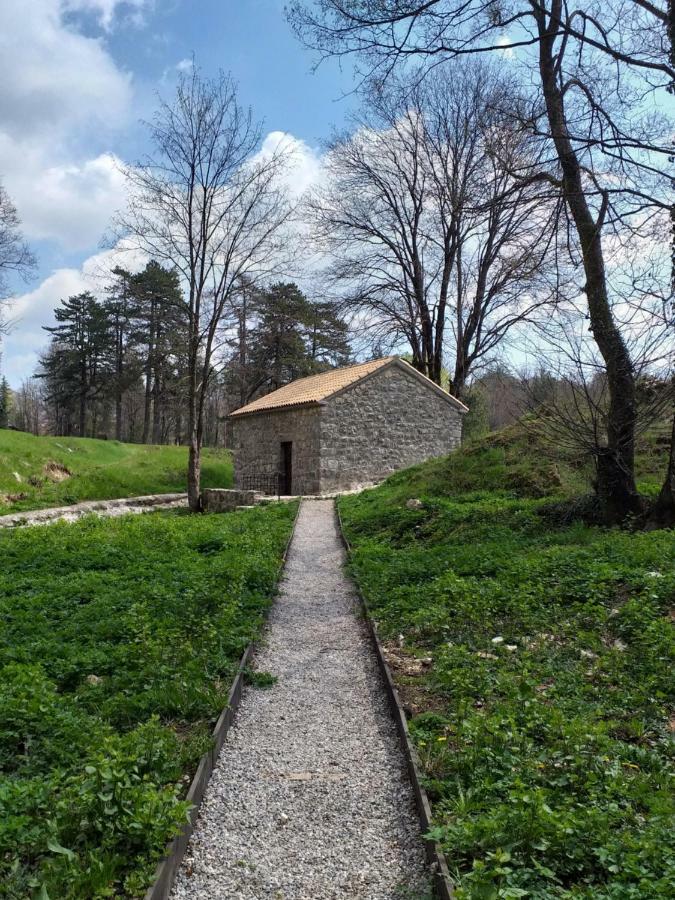 Apartman Donji Kraj Appartement Cetinje Buitenkant foto