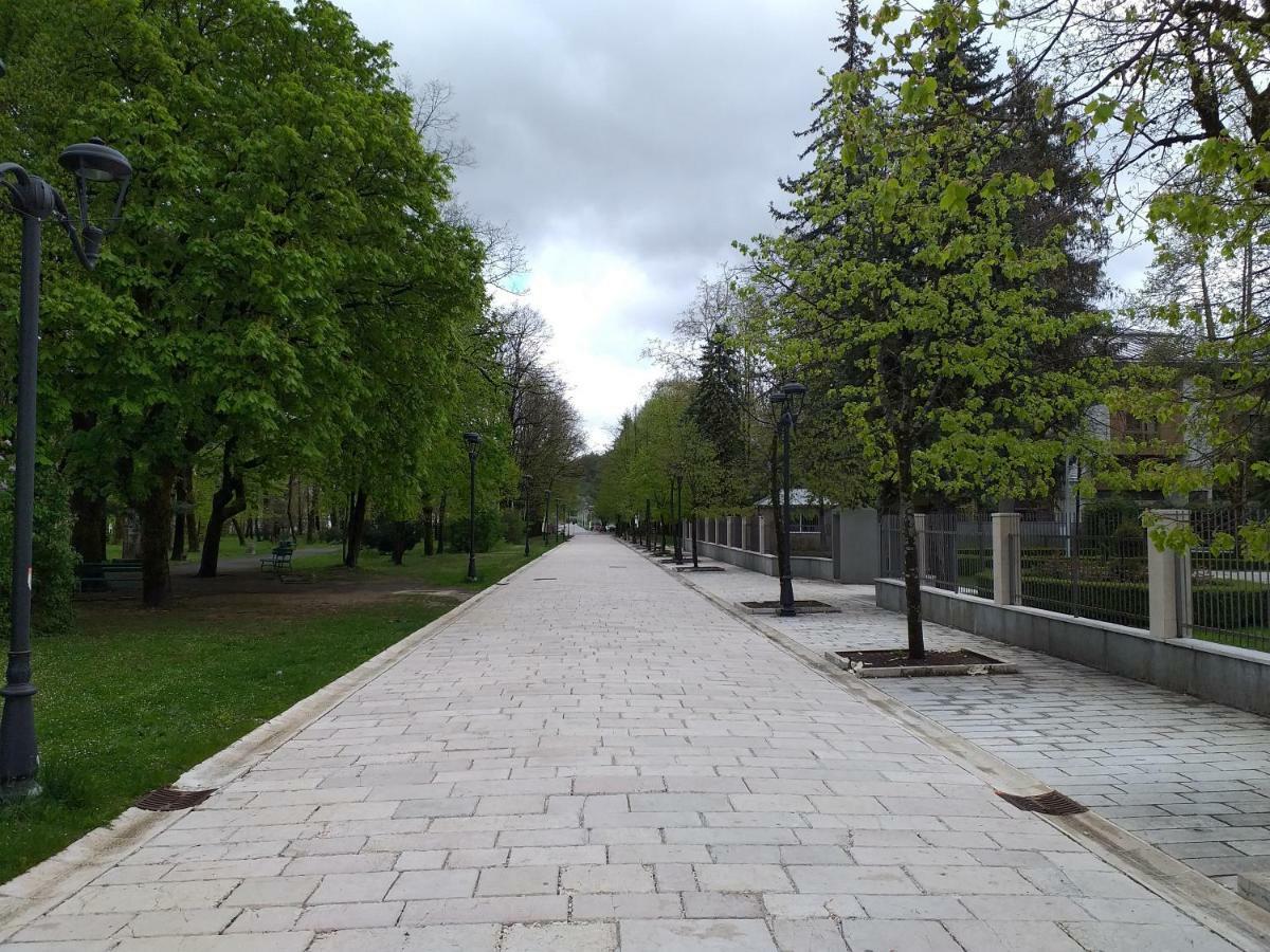Apartman Donji Kraj Appartement Cetinje Buitenkant foto